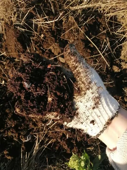 Маленькое садовое волшебство: делаем компост