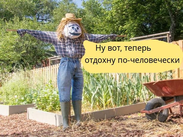 О технологии no-till