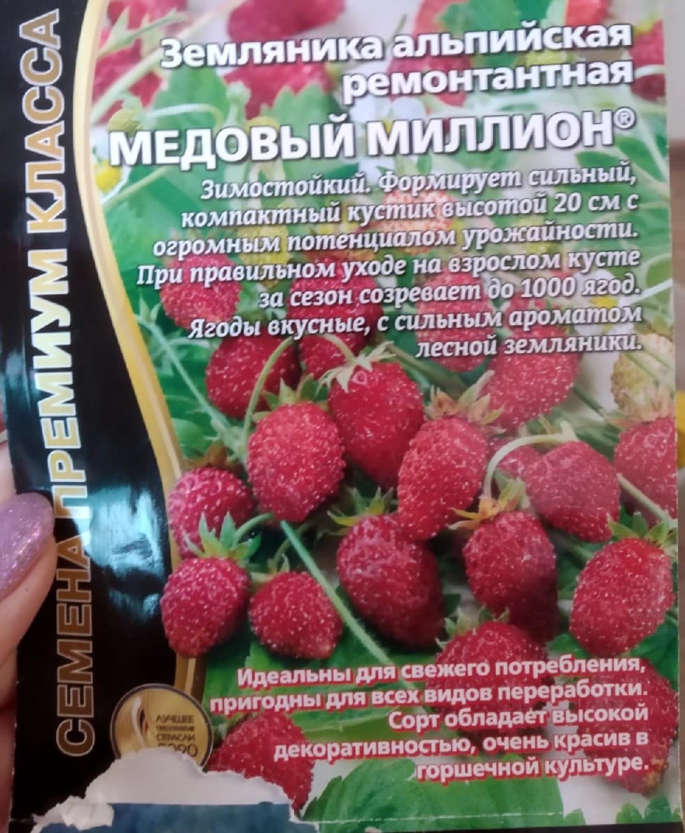 Земляника ремонтантная - рекомендую.