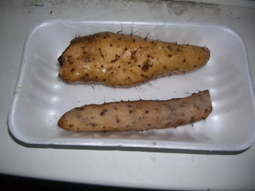 Китайский ямс