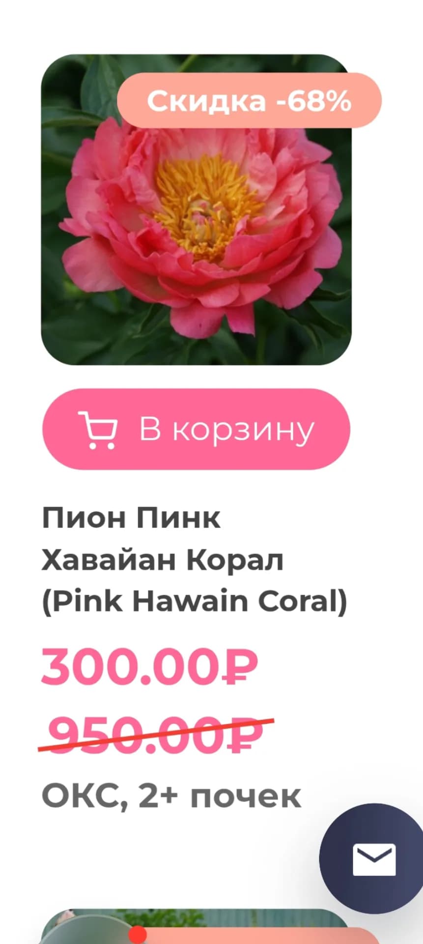 Наконец-то я исполнила свою мечту по покупке двух сортовых пионов.