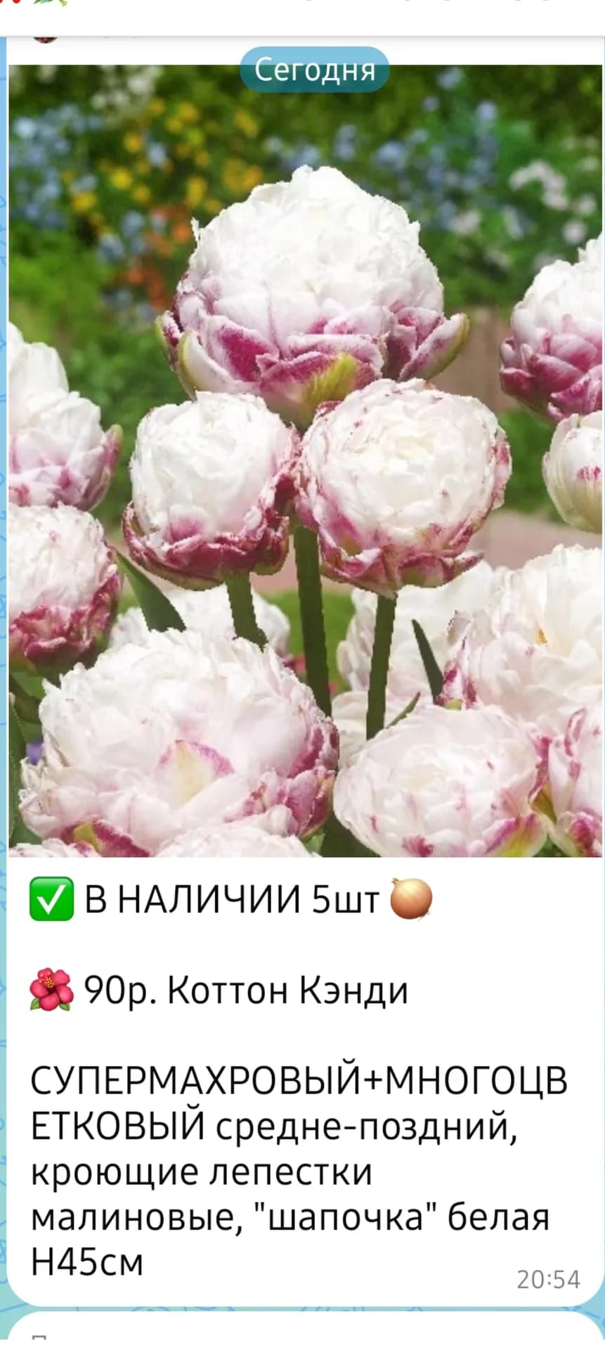 В последний вагон с луковичными.