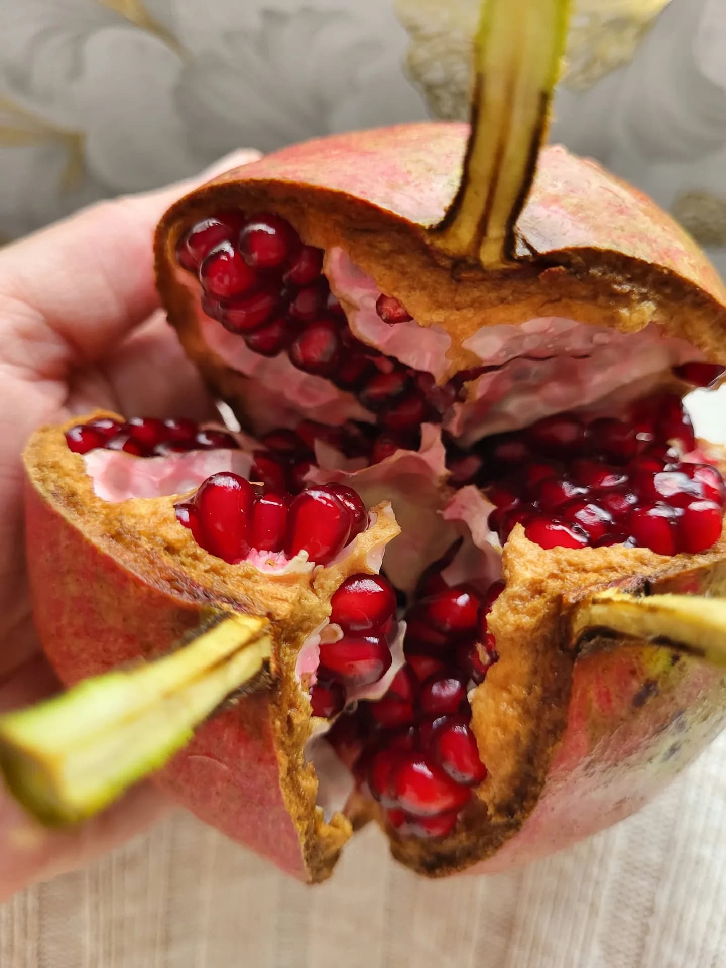 Теплая и щедрая грузинская осень