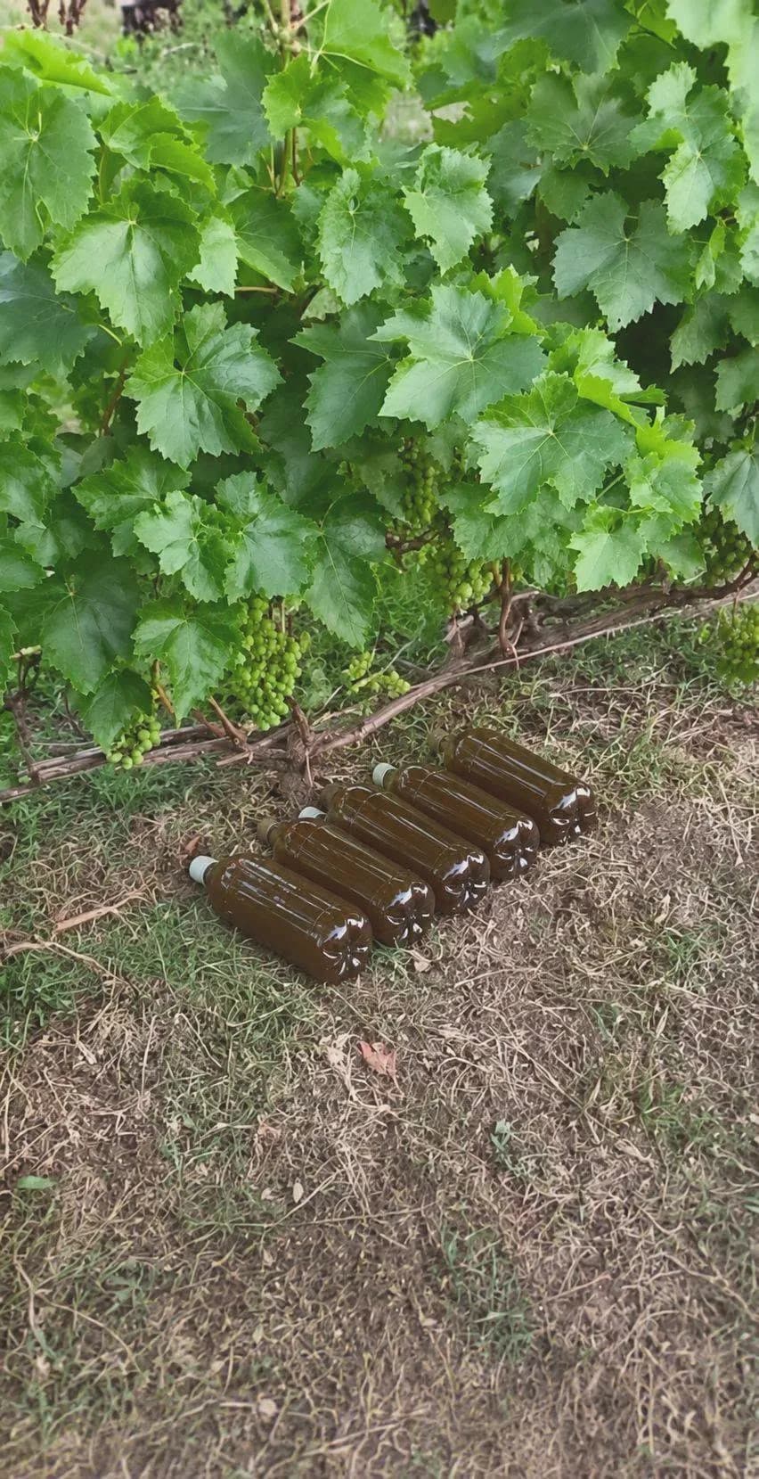 Бутылки с водой как маленький тепловой аккумулятор